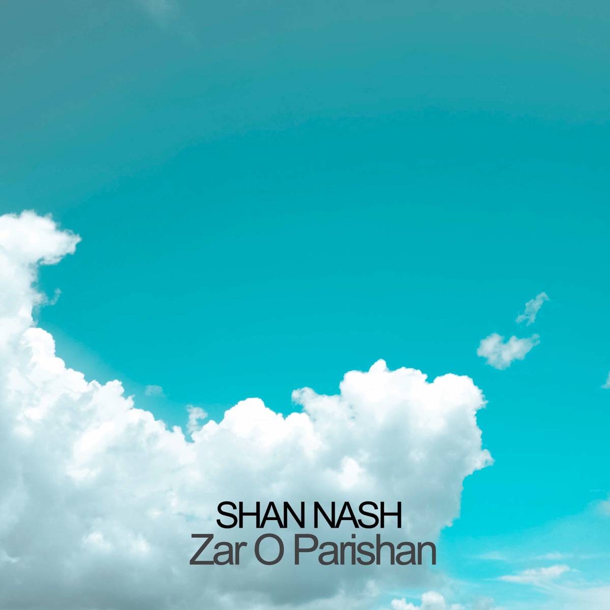 Zar O Parishan - Single by Shan Nash album cover
