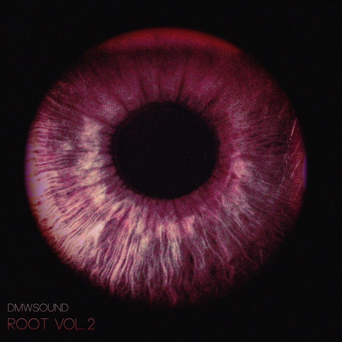 Root Vol.2 - EP by Panix & Ranking Dan album cover