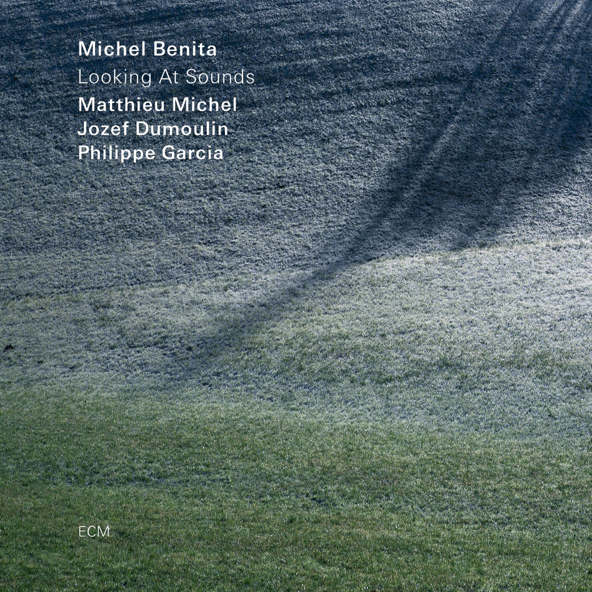 Looking At Sounds by Michel Benita, Matthieu Michel, Jozef Dumoulin & Philippe Garcia album cover