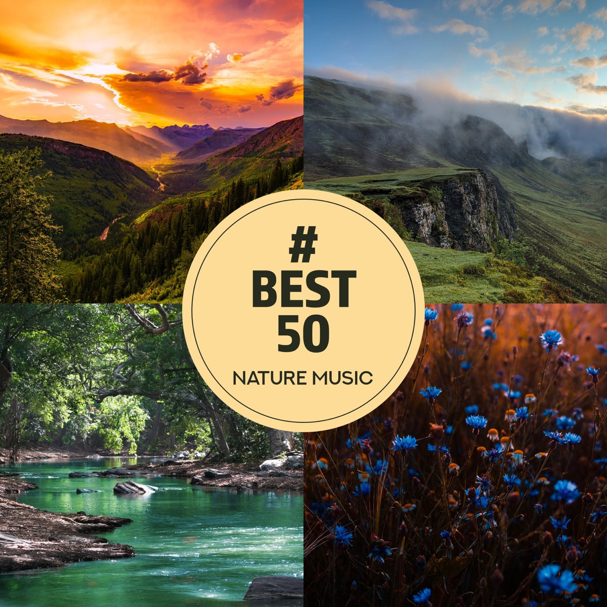 # Best 50: Nature Music, Ambient for Relaxation, Sleep, Meditation & Spa by Meditation Music Zone, Relaxing Nature Sounds Collection & Tranquility Spa Universe album cover