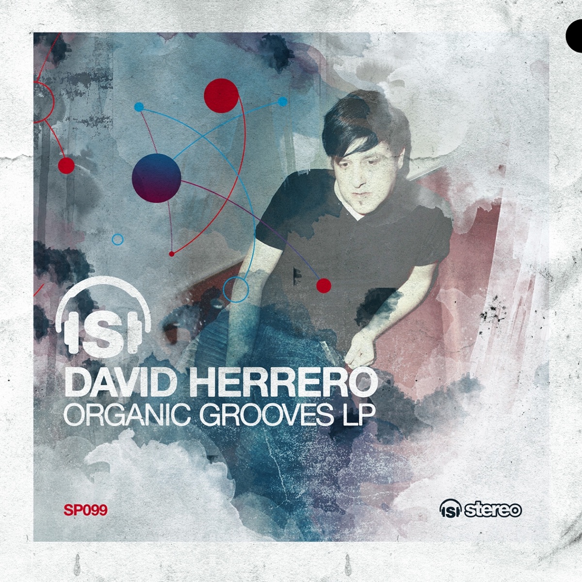 Organic Grooves by David Herrero album cover