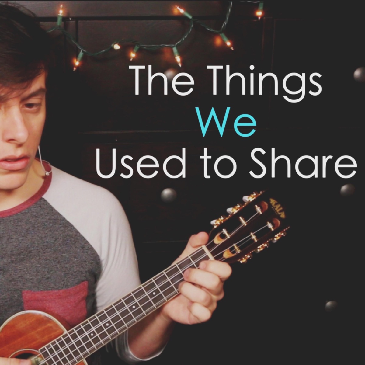 The Things We Used to Share - Single by Thomas Sanders album cover