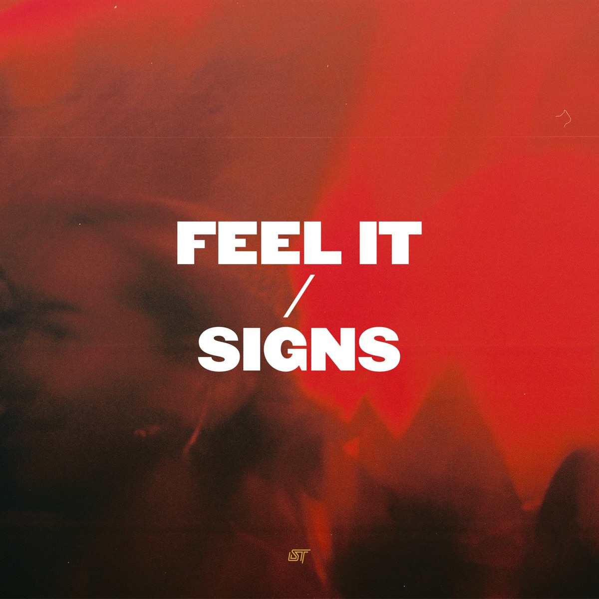 Feel It / Signs - Single by Swing Ting & Lovescene album cover