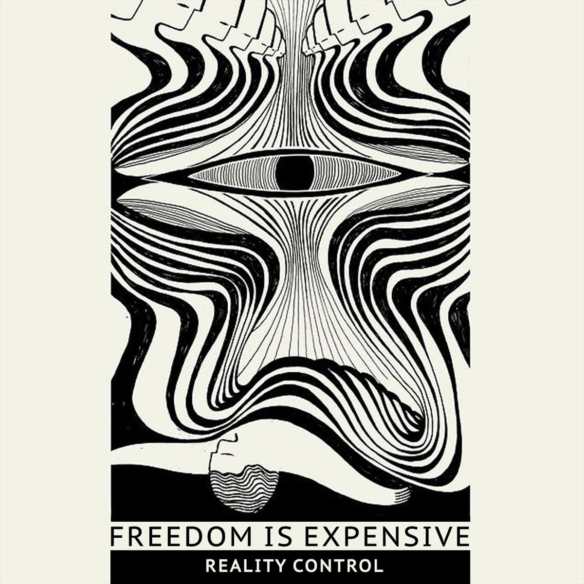 Reality Control - Single by Freedom Is Expensive album cover