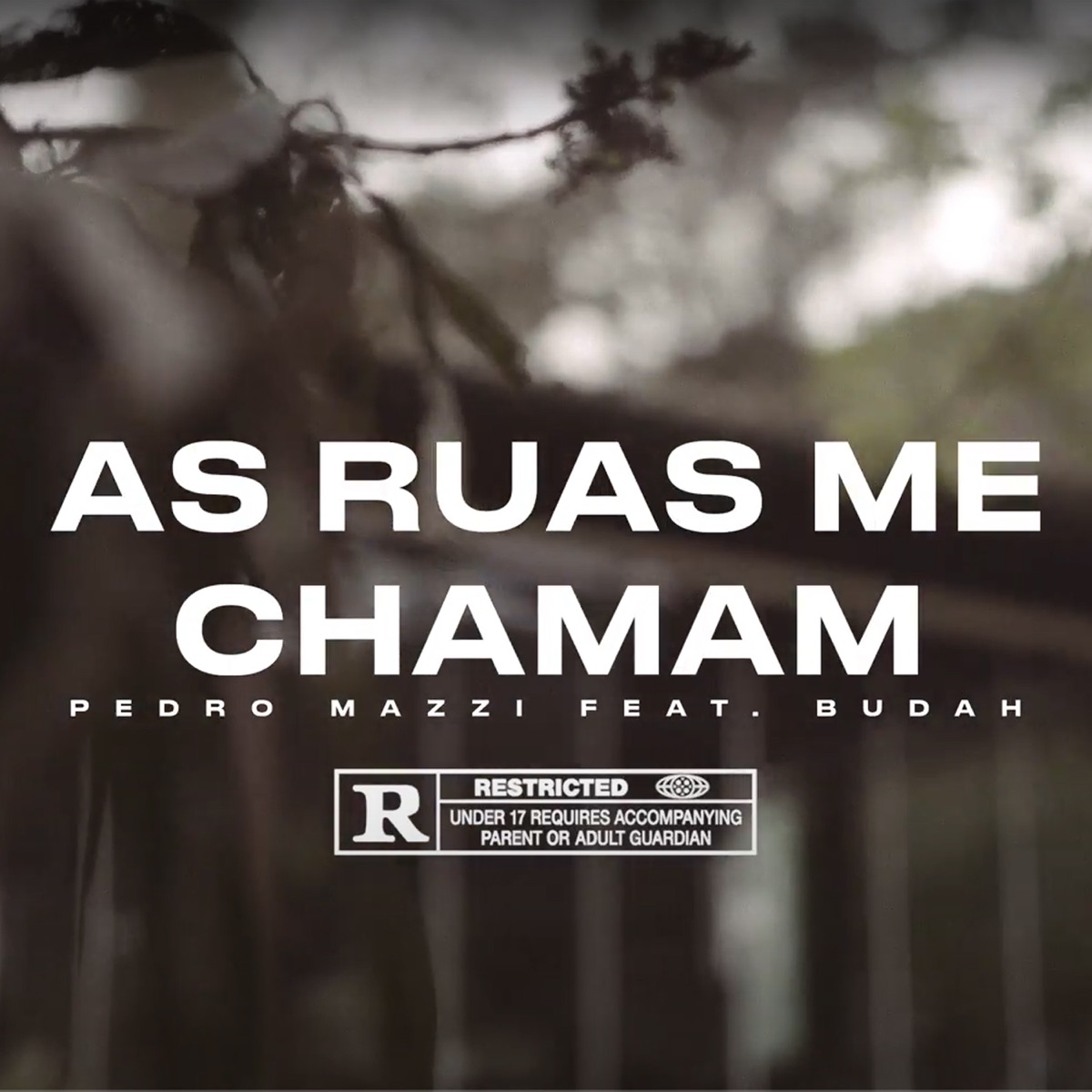 As Ruas Me Chamam (feat. Budah) - Single by Pedro Mazzi album cover