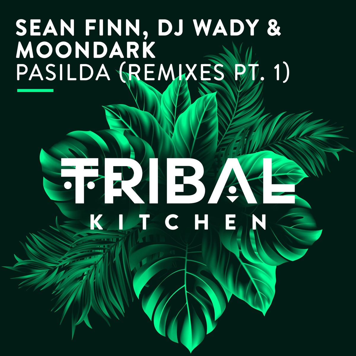 Pasilda (Remixes, Pt. 1) - Single by Sean Finn, DJ Wady & MoonDark album cover