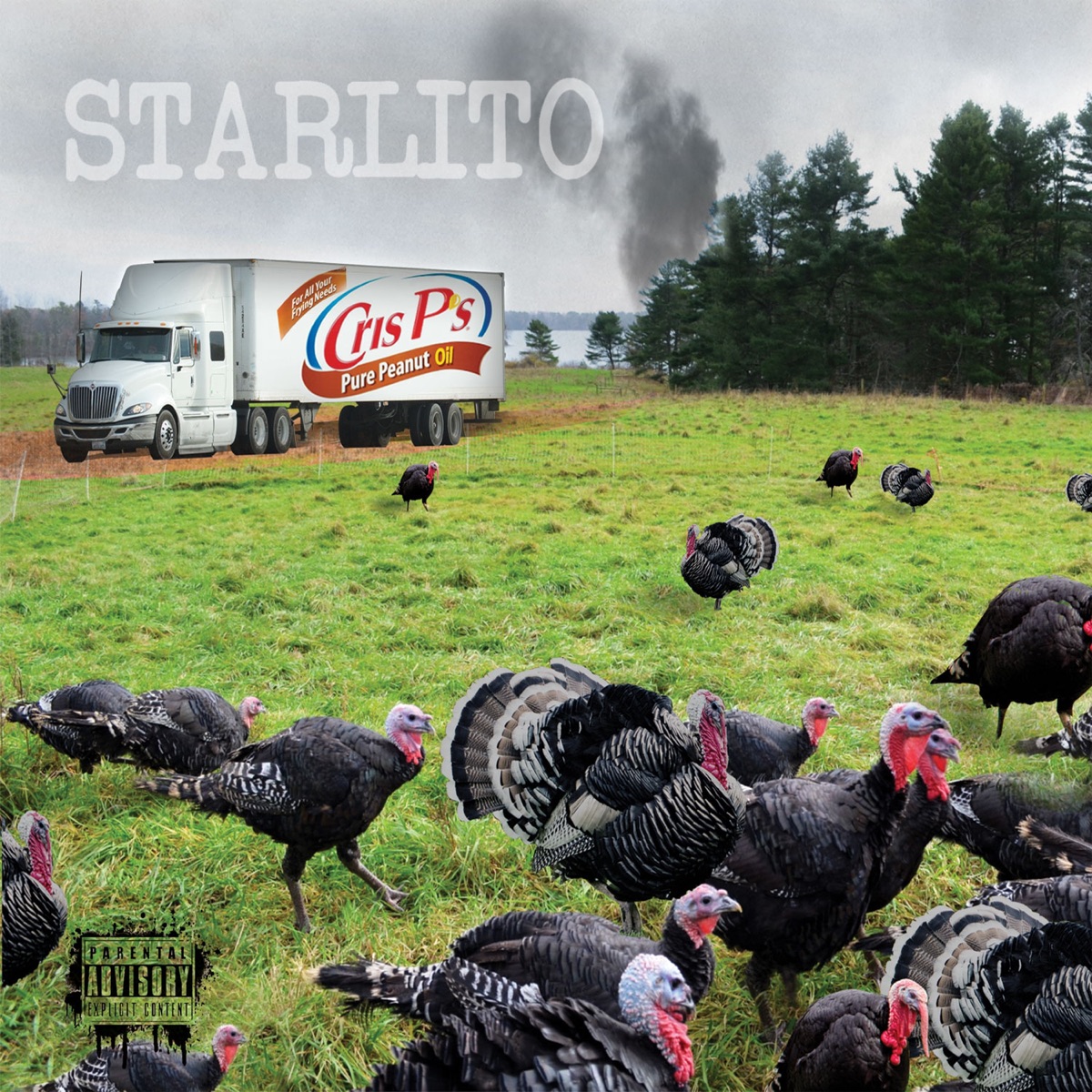 Fried Turkey by Starlito album cover