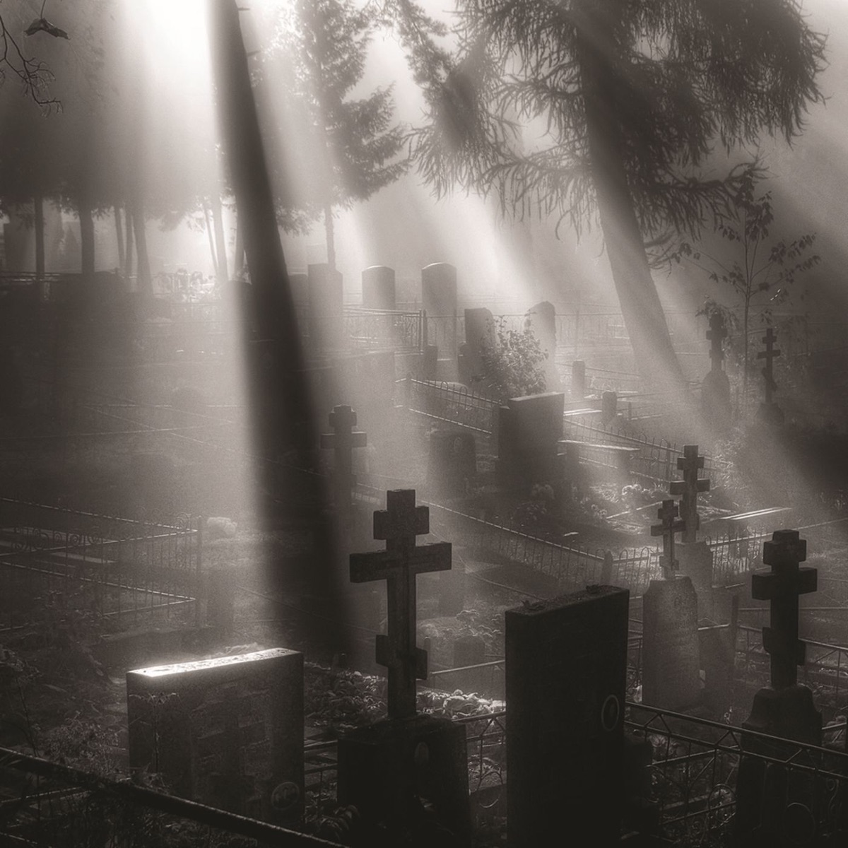 Veni Nox Anima - Single by Oneirogen & Mario Diaz de León album cover