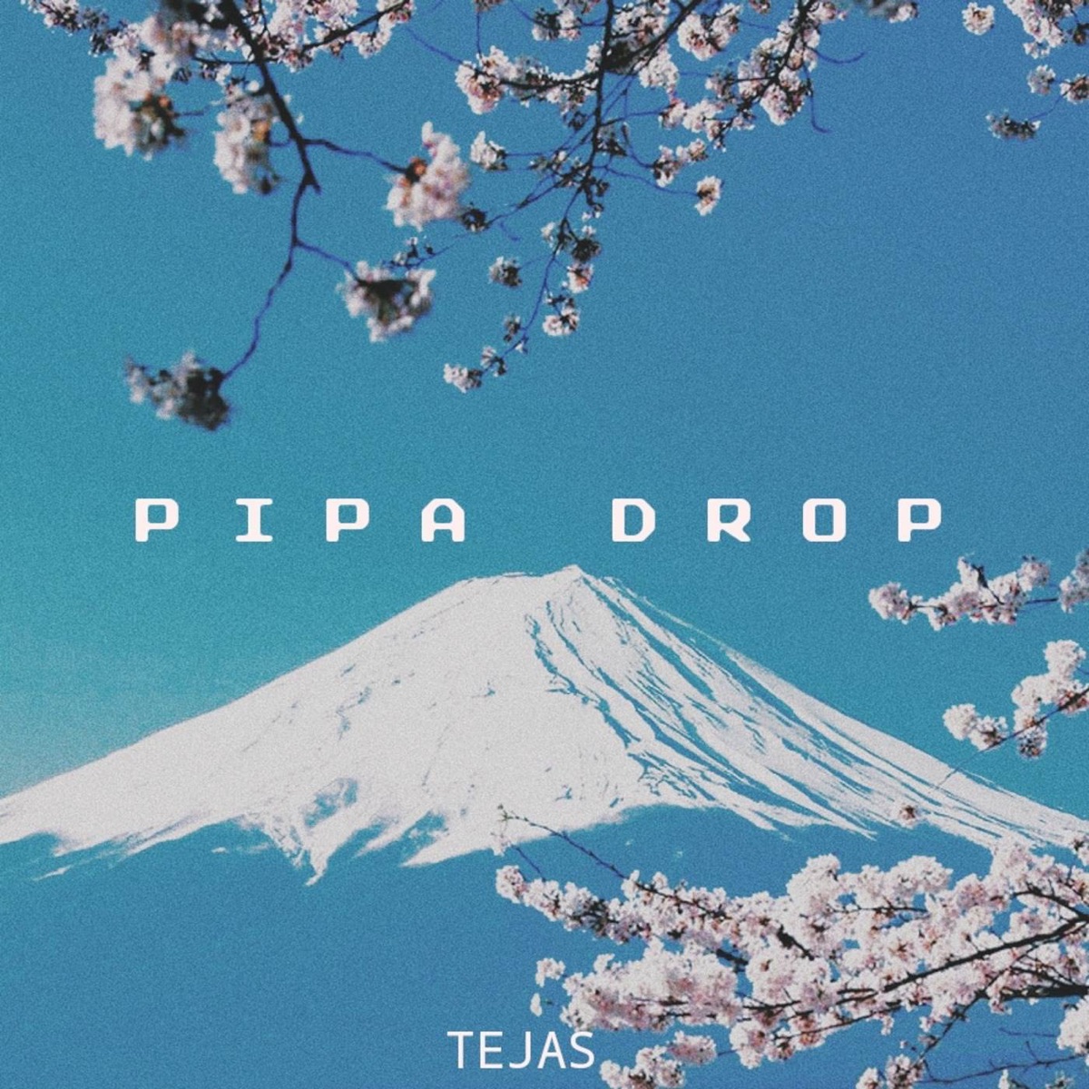 Pipa Drop - Single by Tejas album cover