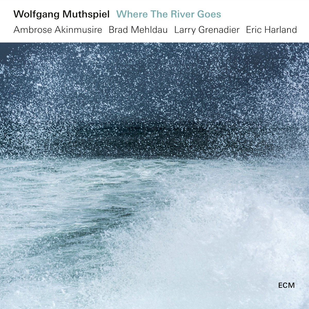 Where the River Goes by Wolfgang Muthspiel, Ambrose Akinmusire, Brad Mehldau, Larry Grenadier & Eric Harland album cover