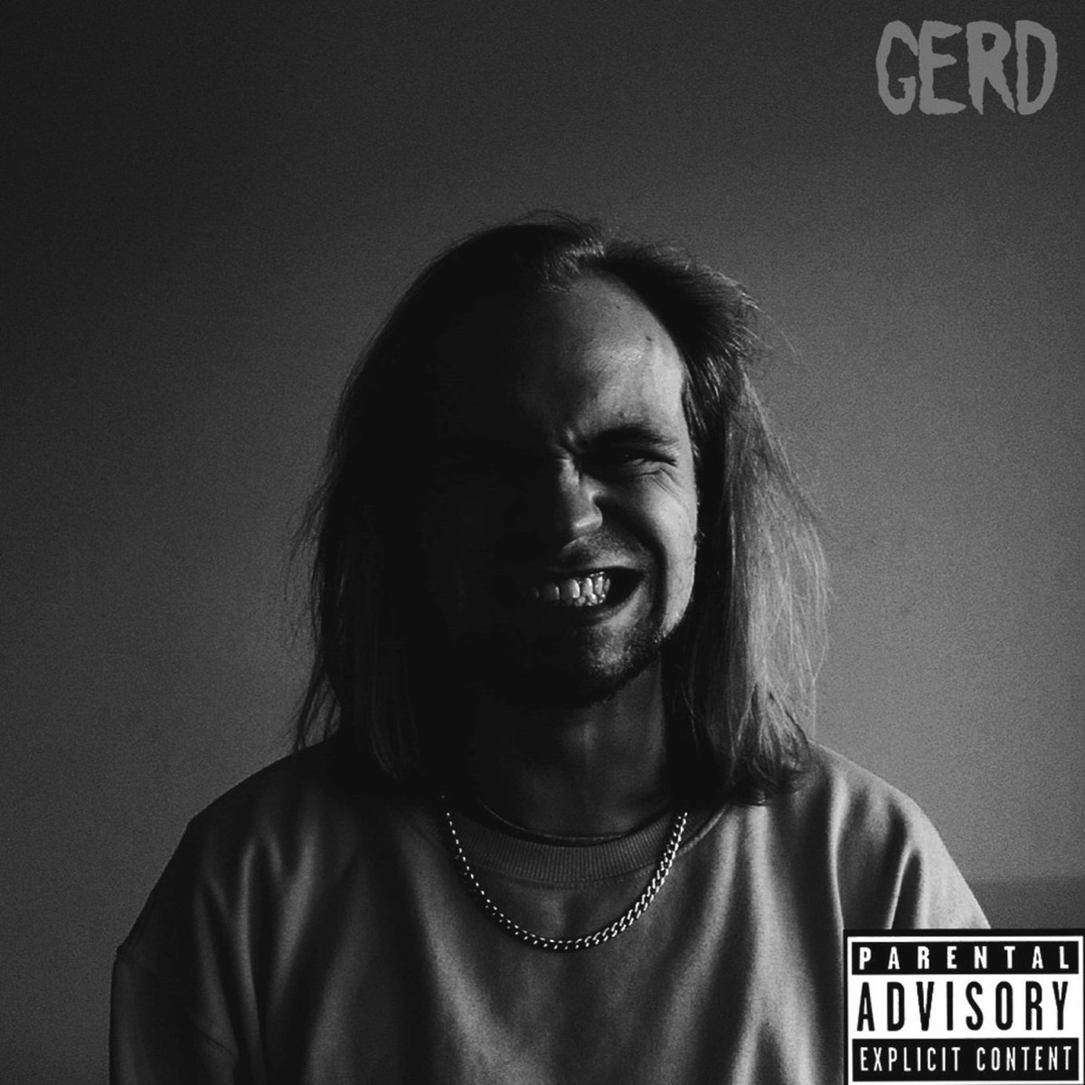 Gerd by REDZED album cover