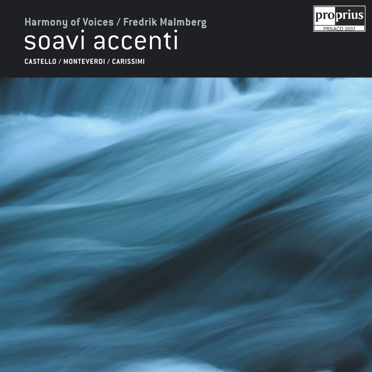 Soavi Accenti by Ann Wallstrom, Harmony of Voices, Fredrik Malmberg, Anders Ericson, Mattias Frostenson, Stefan Lindvall, David Gammelgård, Johan Linderoth, Leif Aruhn-Solén, Joel Sundin, Rastko Roknic & Karl Nyhlin album cover