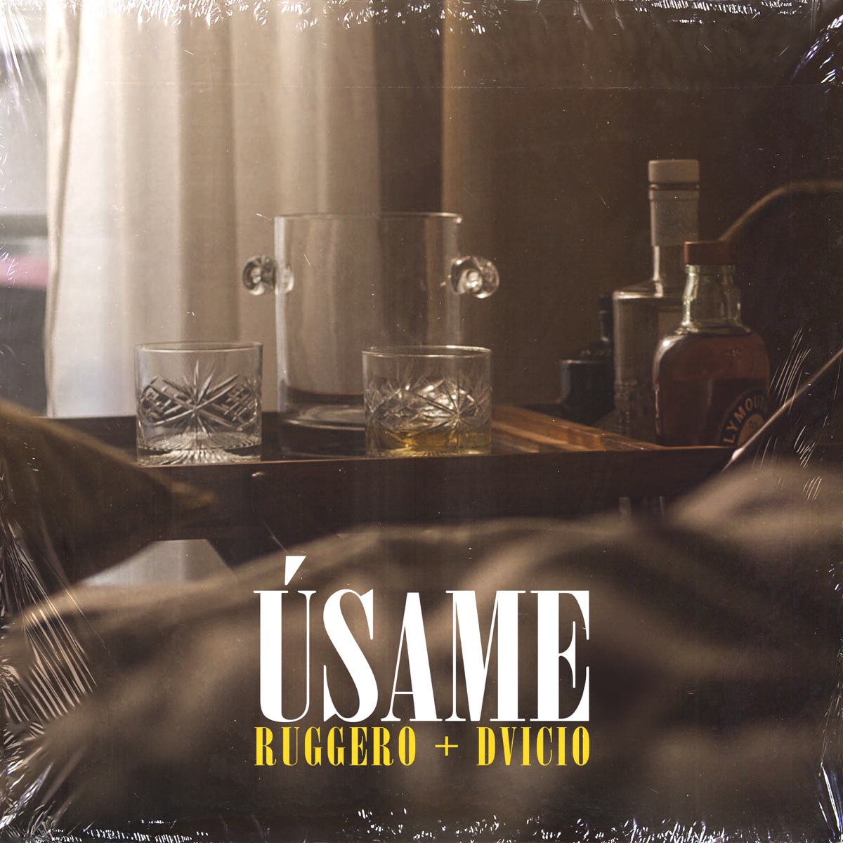 Úsame - Single by RUGGERO & Dvicio album cover