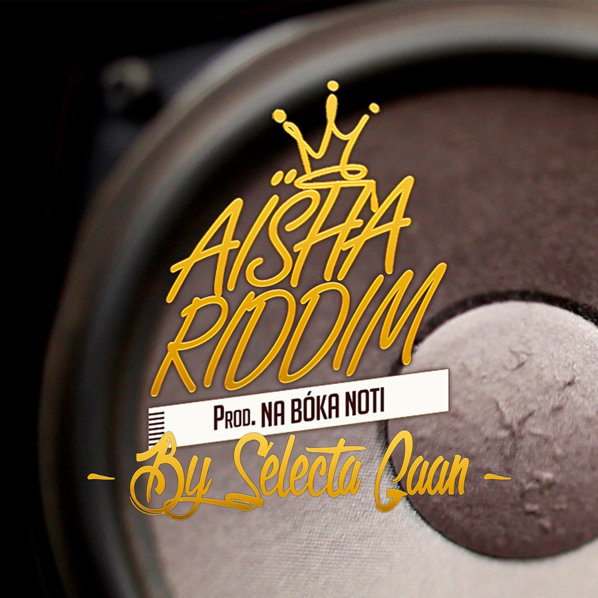 Aïsha Riddim By Selecta Gaan (feat. Jah Nattoh & Lion Sitte & Csavi & Juan Brun & DJ Lápiz & Eli Ray & Hermano L & Uri Green & Naptali & Pure N***a & Ras Zohen & Zumbiman) - EP by Na Bóka Noti album cover