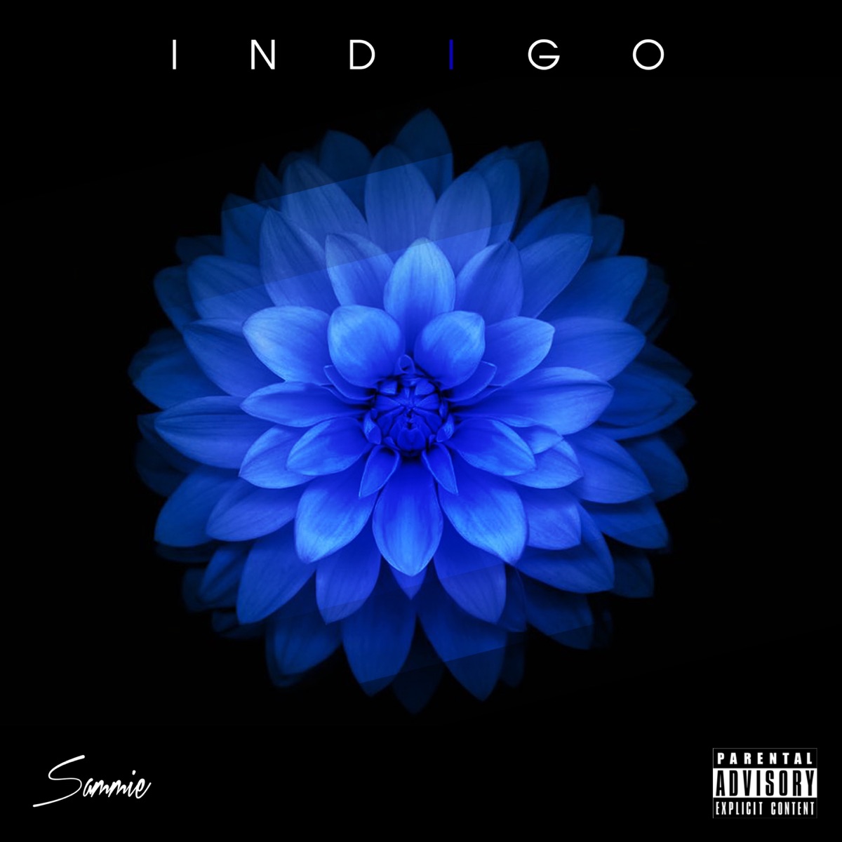 Indigo by Sammie album cover
