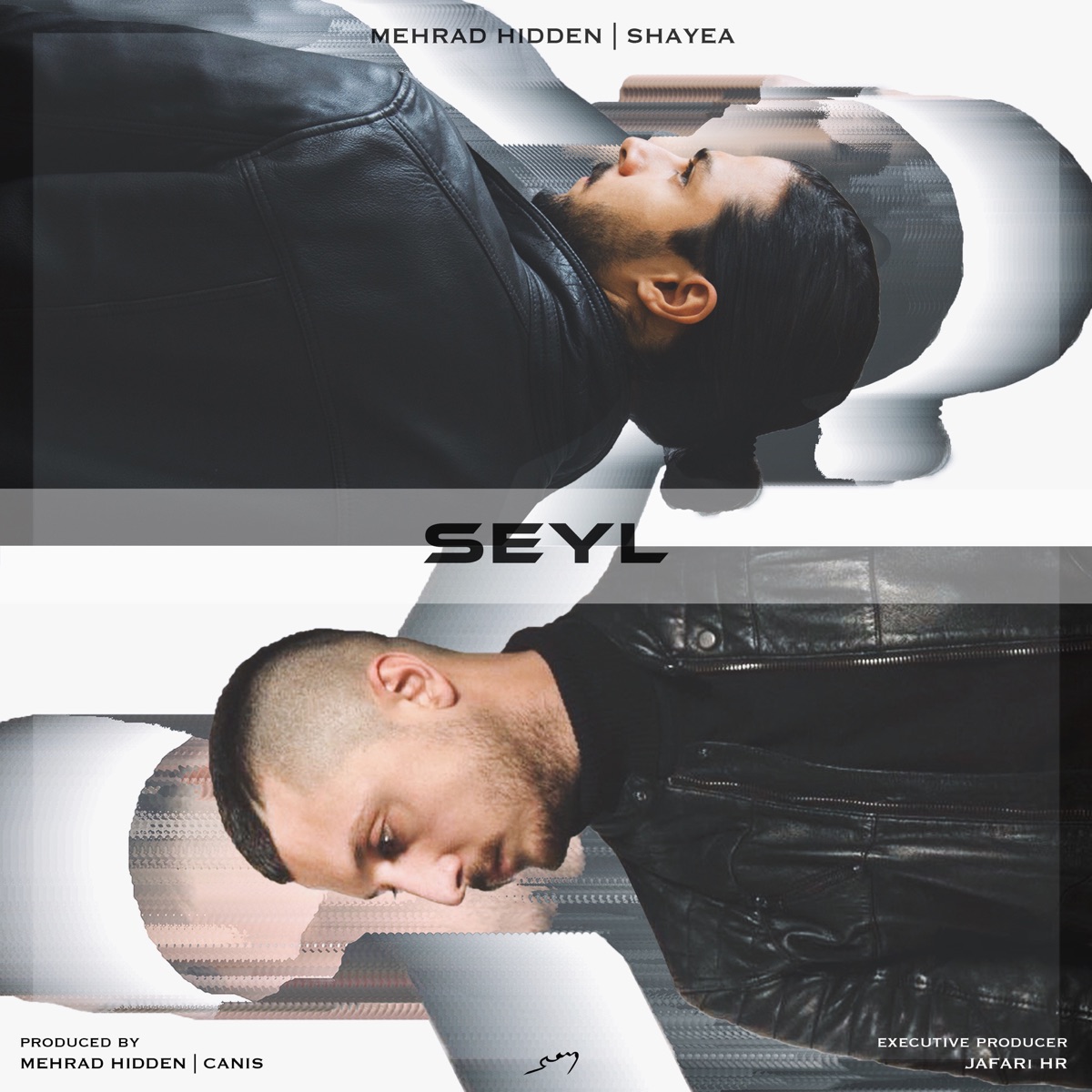 Seyl (feat. Shayea) - Single by Mehrad Hidden album cover