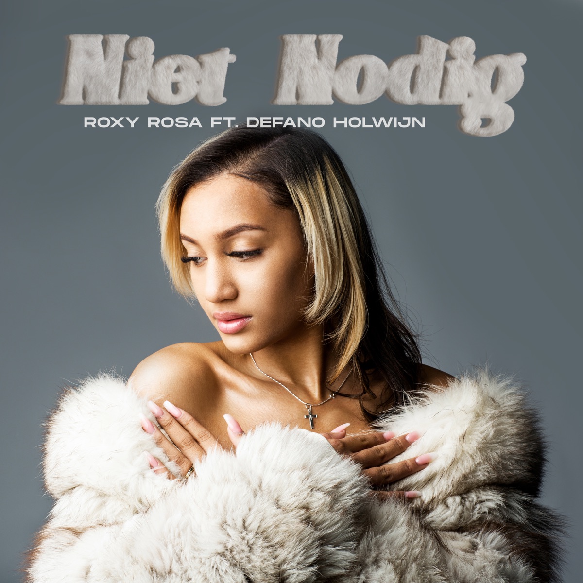 Niet Nodig (feat. Defano Holwijn) - Single by Roxy Rosa & Défano Holwijn album cover