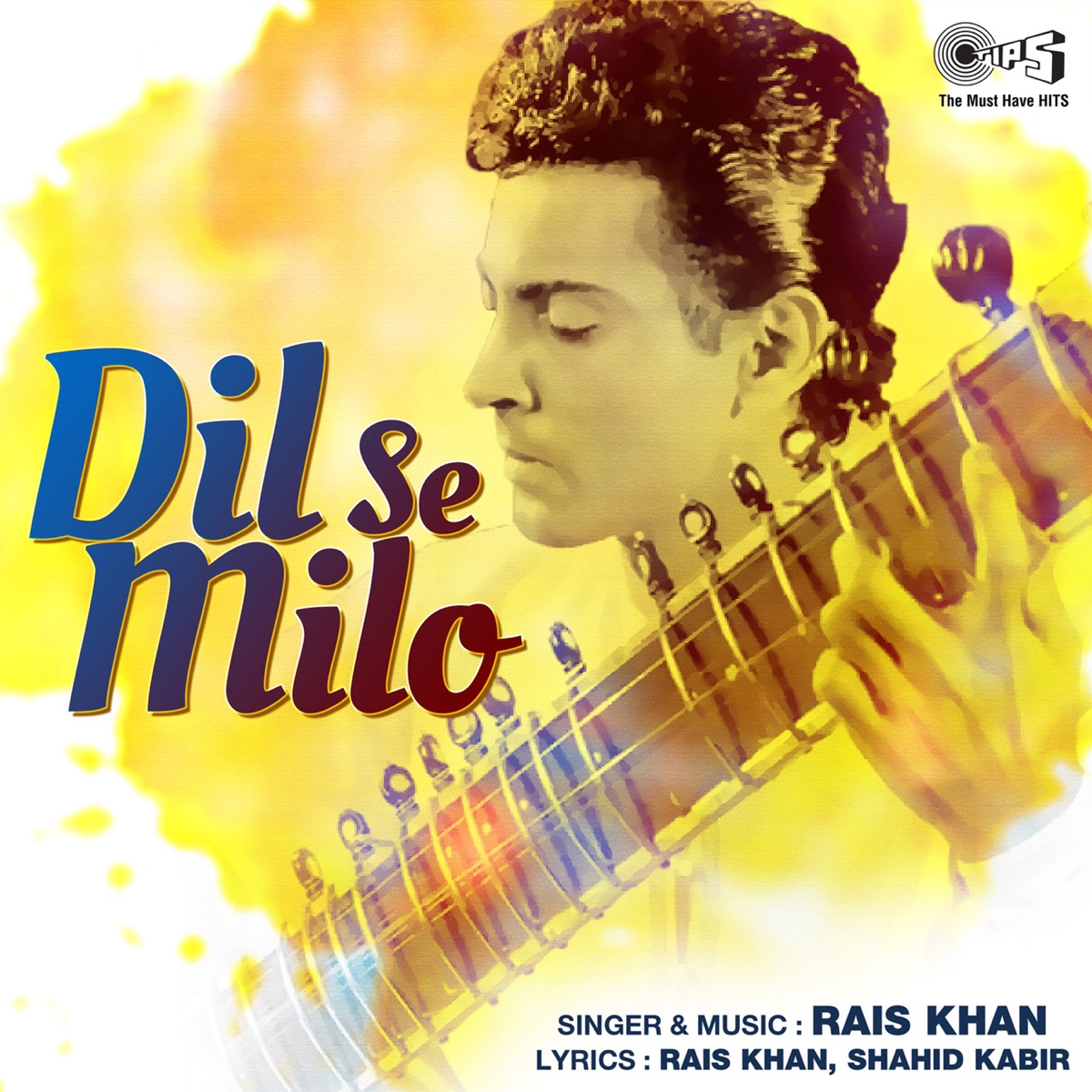 Dil Se Milo by Rais Khan album cover