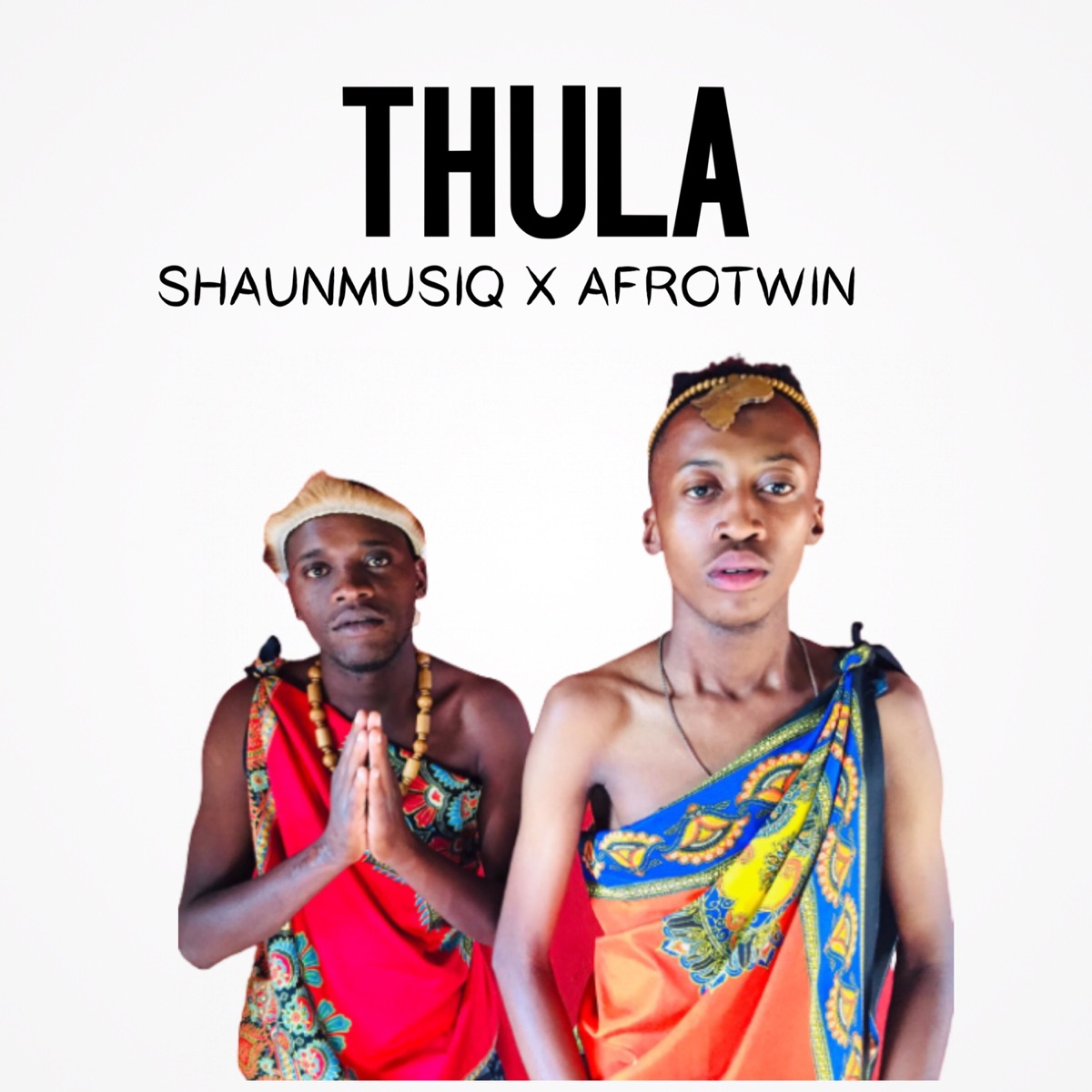 Thula - Single by ShaunMusiq & Afrotwin album cover