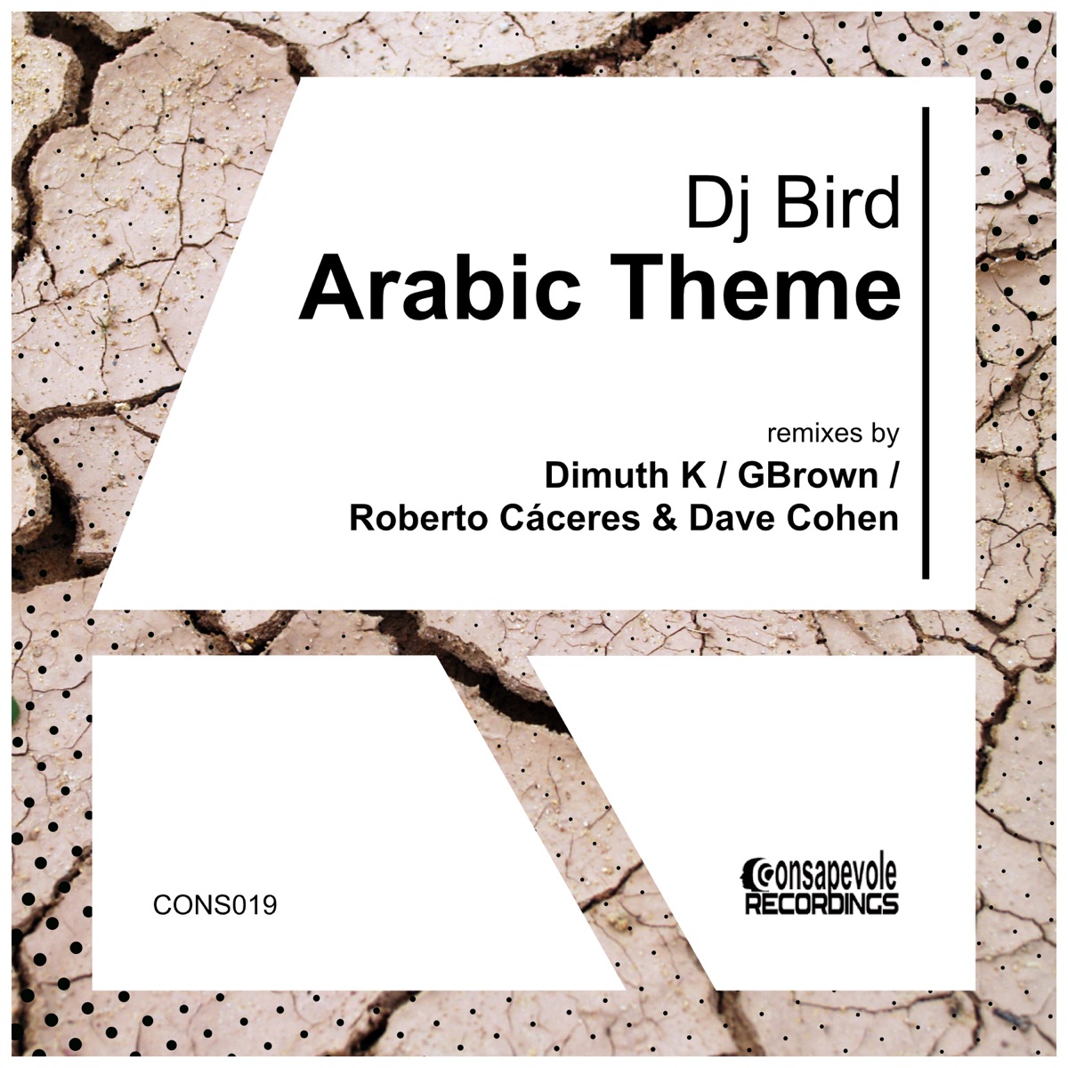 Arabic Theme by Dimuth K, DJ Bird & Roberto Caceres & Dave Cohen album cover