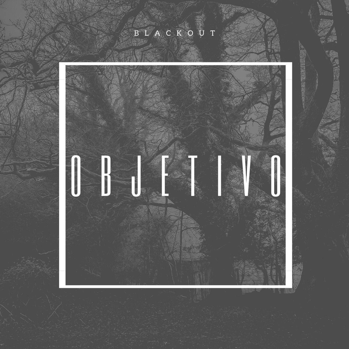 Objetivo - Single by Blackout album cover