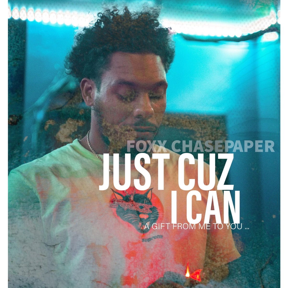 Just Cuz I Can... by Foxx Chasepaper album cover