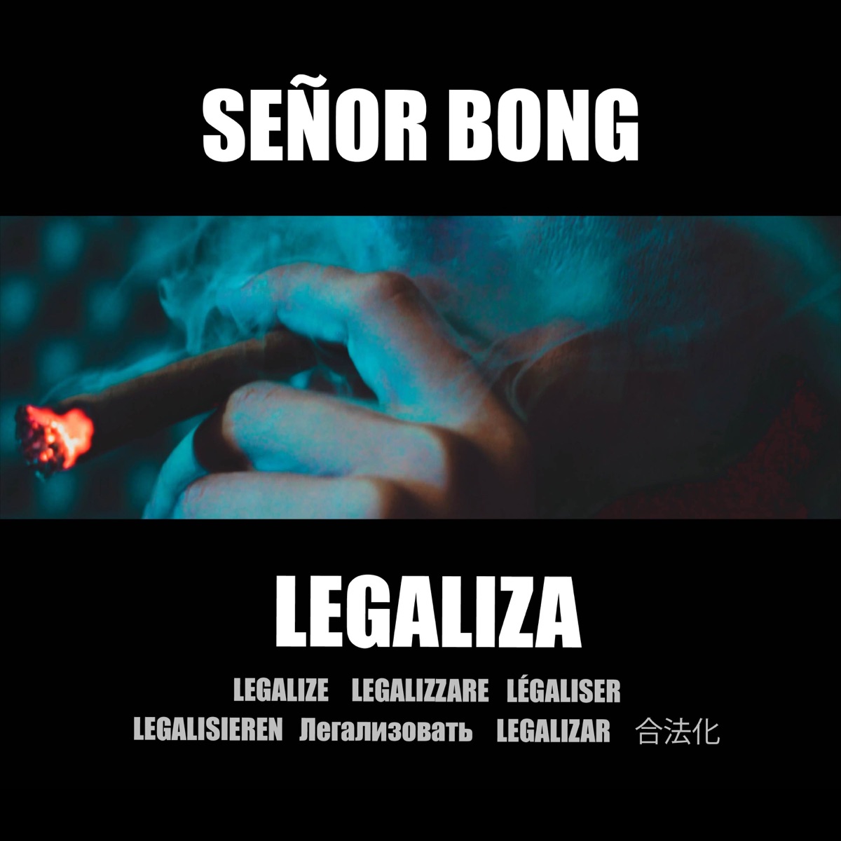 Legaliza - Single by Señor Bong album cover