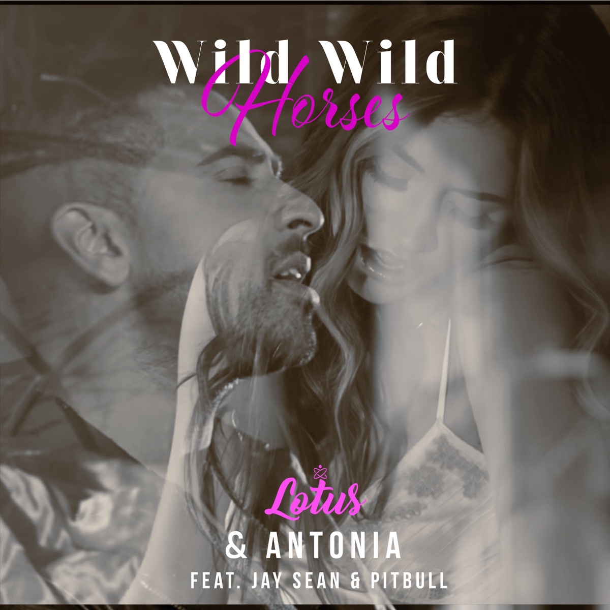 Wild Wild Horses (feat. Jay Sean & Pitbull) [Remixes] by Lotus & Antonia album cover