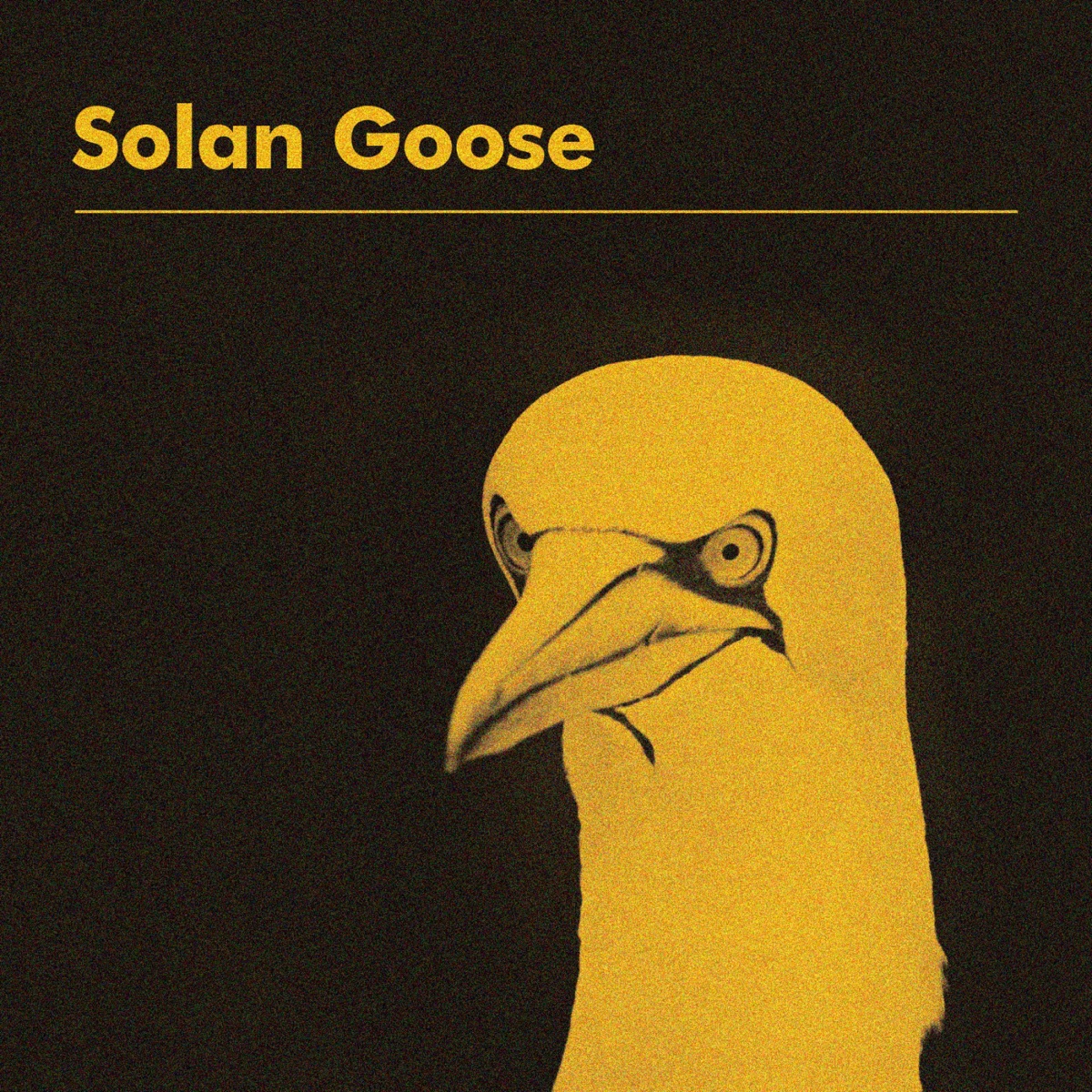 Solan Goose by Erland Cooper album cover