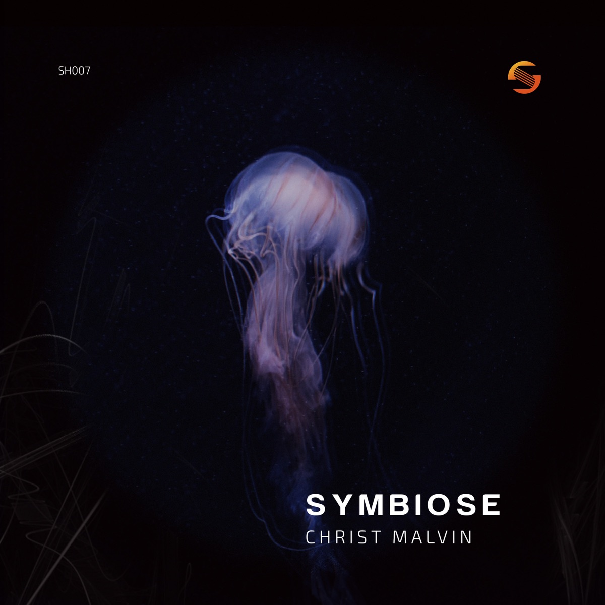 Symbiose - Single by Christ Malvin album cover