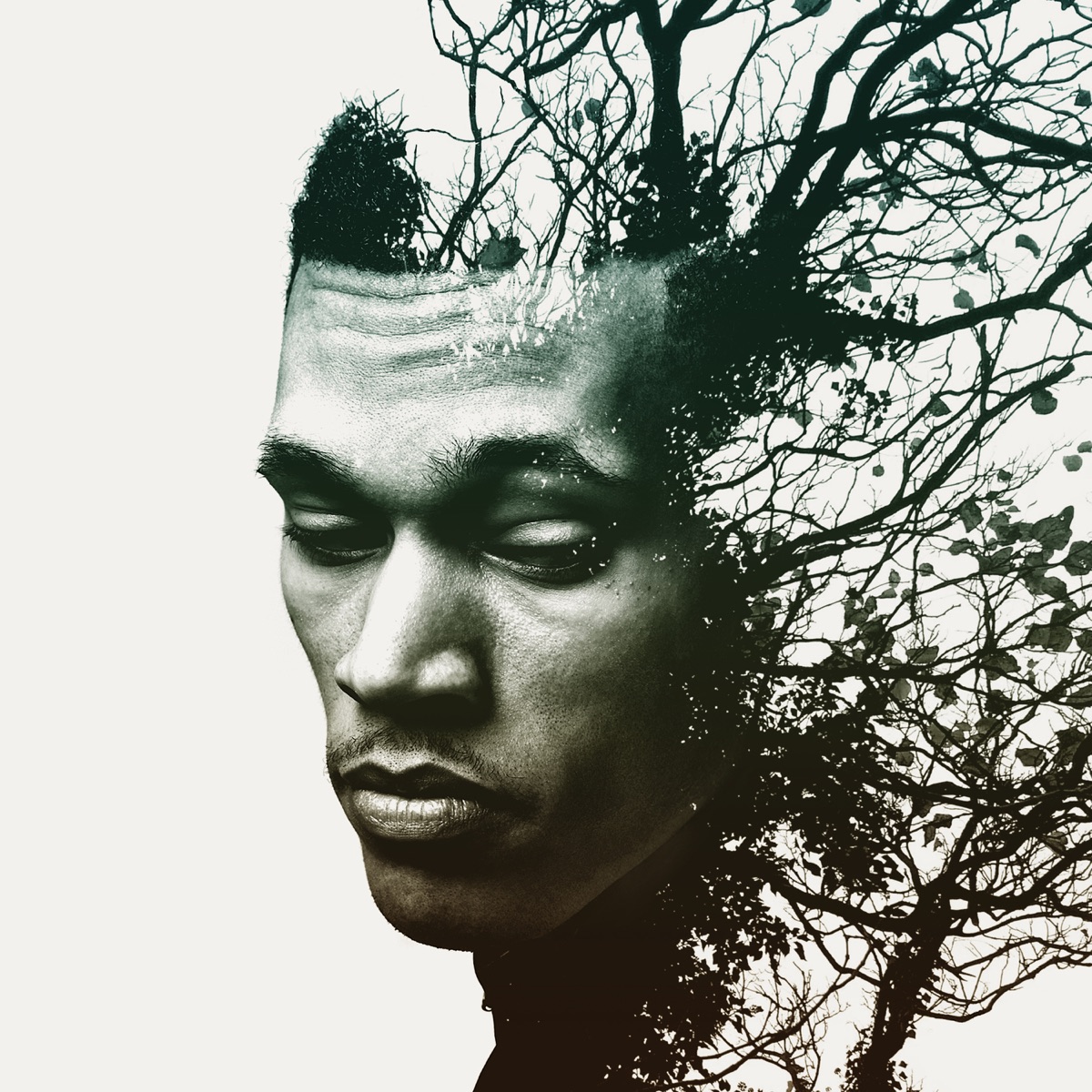 Rise by Trip Lee album cover