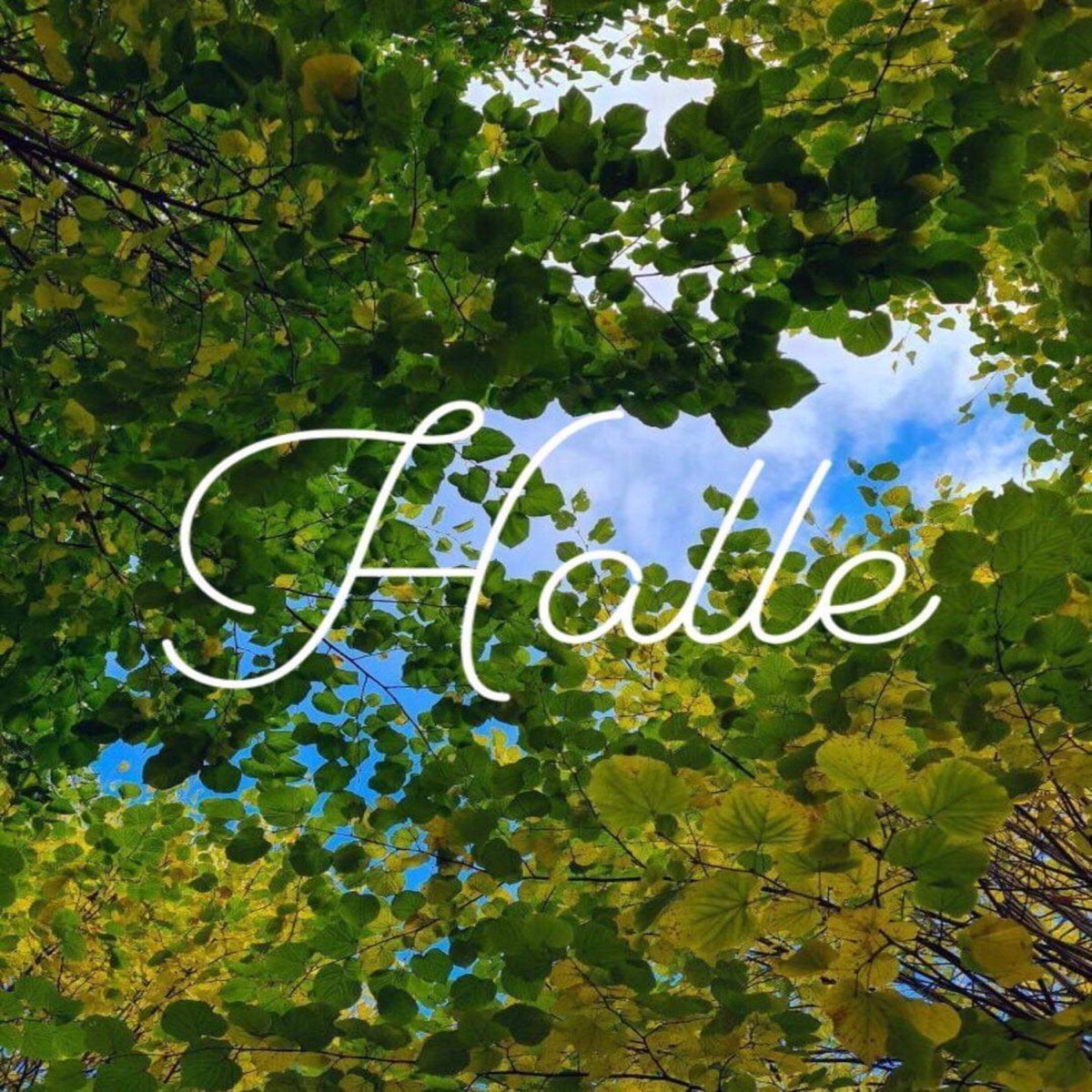 HALLE - EP by ALX album cover