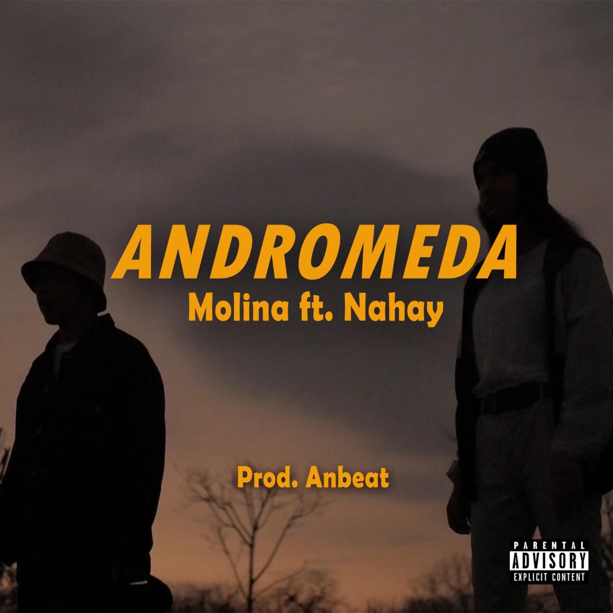 Andrómeda (feat. Nahay & Anbeat) - Single by Molina album cover