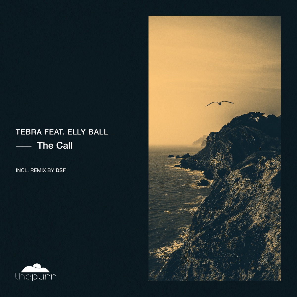 The Call - EP by Tebra & DSF album cover