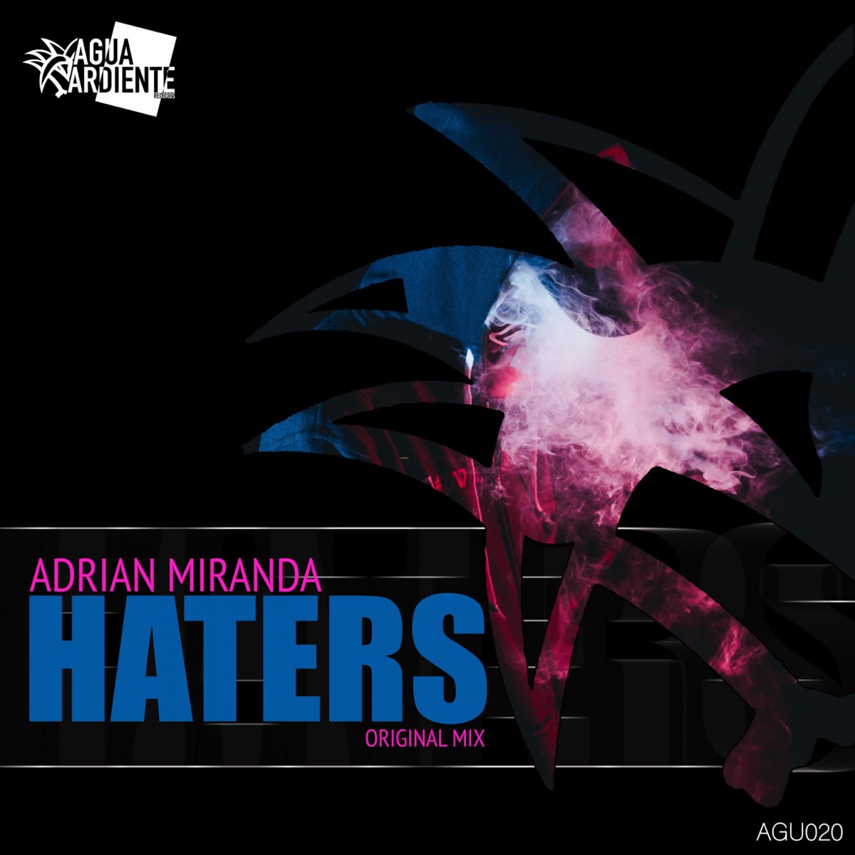 Haters - Single by Adrian Miranda album cover