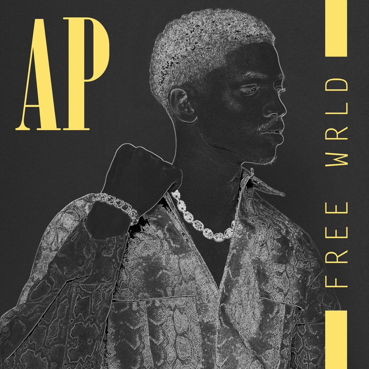Free Wrld by AP album cover