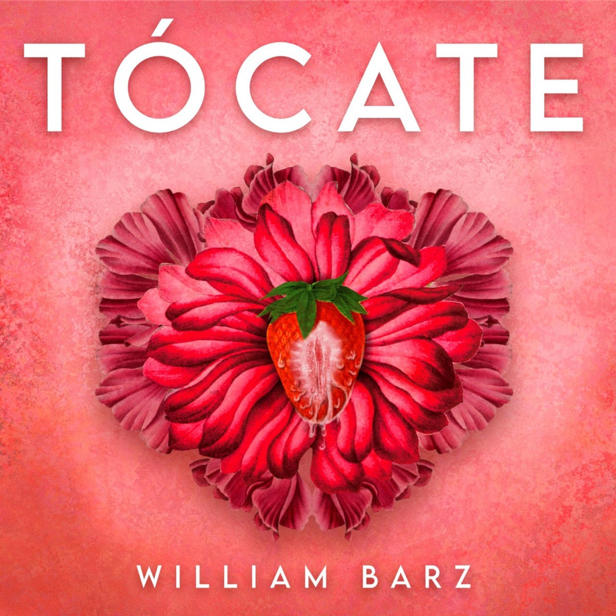 Tócate - Single by William Barz album cover