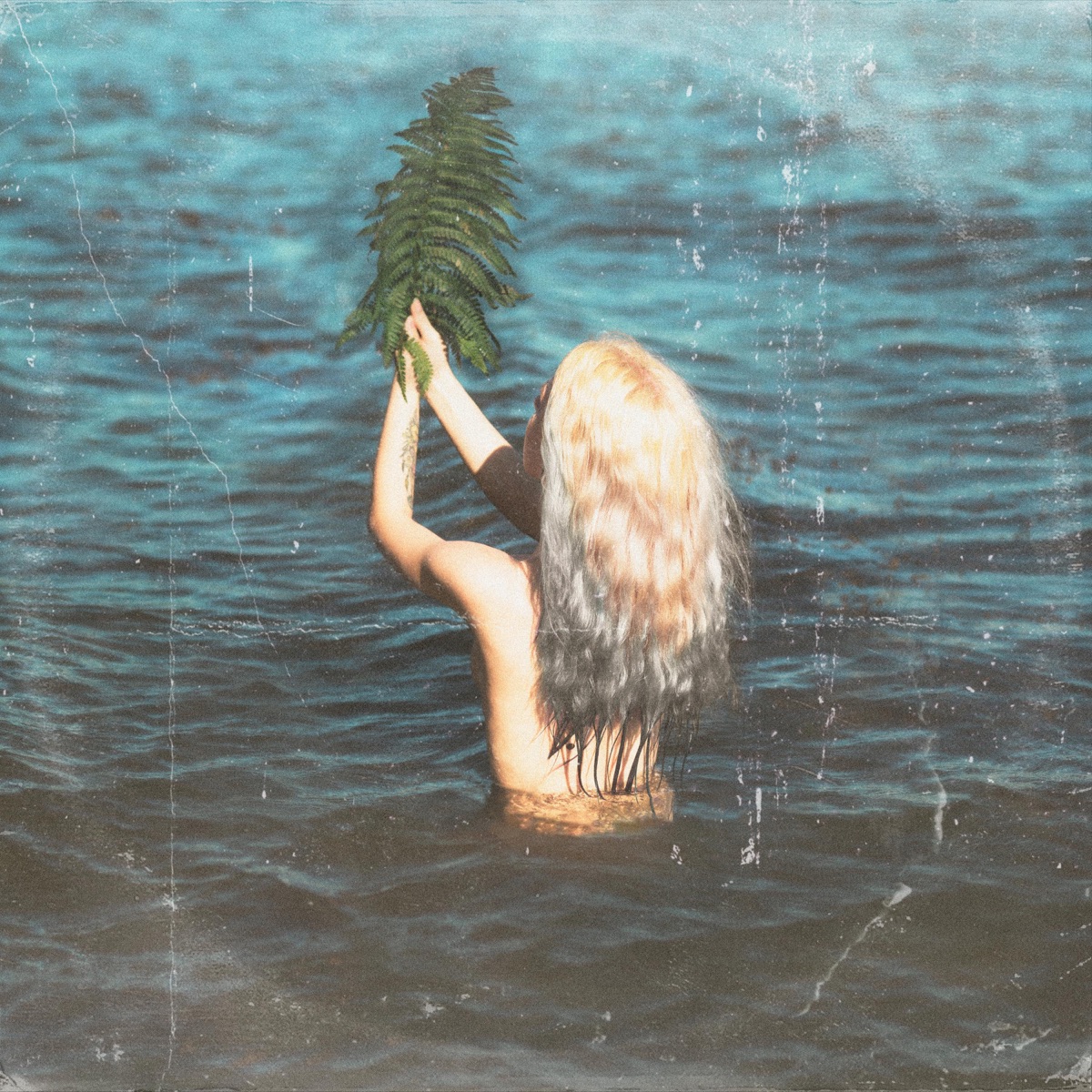 With Absence, The Heart Grows Fonder by Psalm Trees album cover