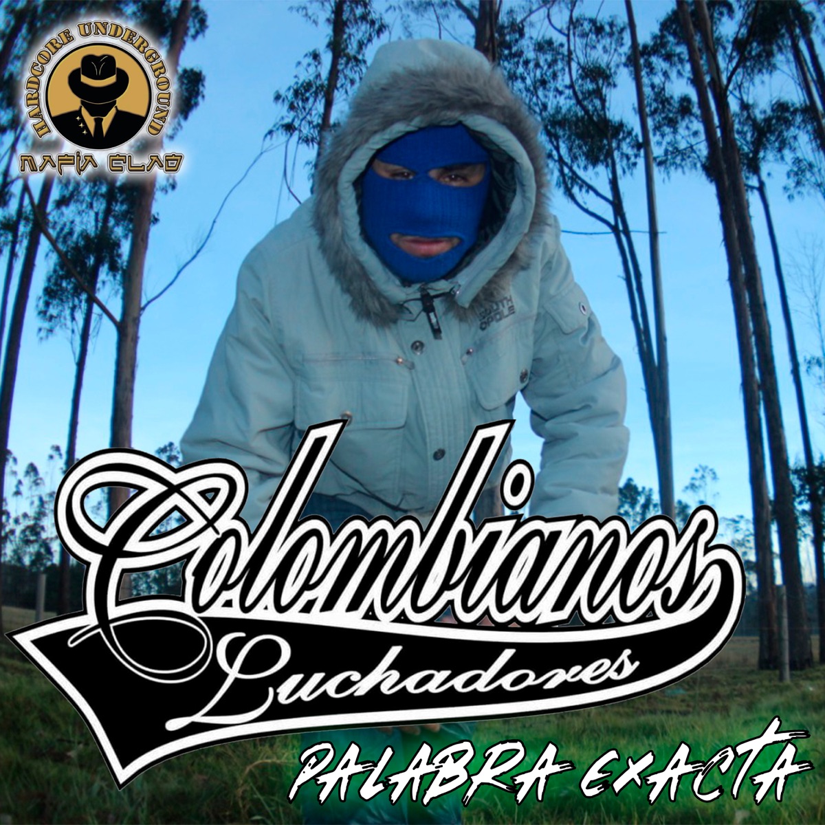 Palabra Exacta - Single by Colombianos Luchadores & Davgel album cover