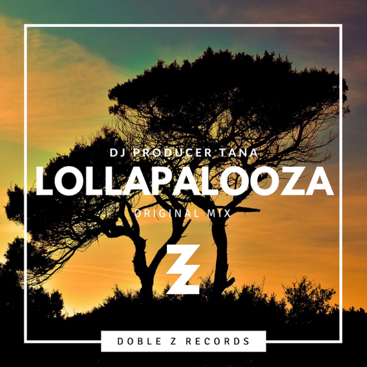 Lollapalooza - Single by Dj Producer TANA album cover