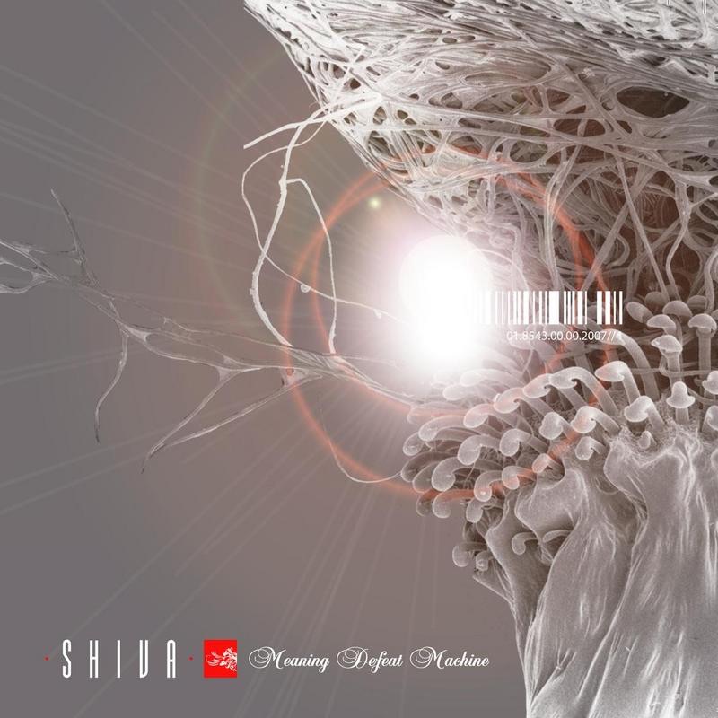 Meaning Defeat Machine by Shiva album cover