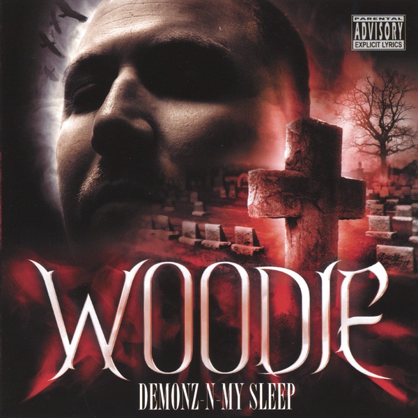 Demonz -n- My Sleep by Woodie album cover