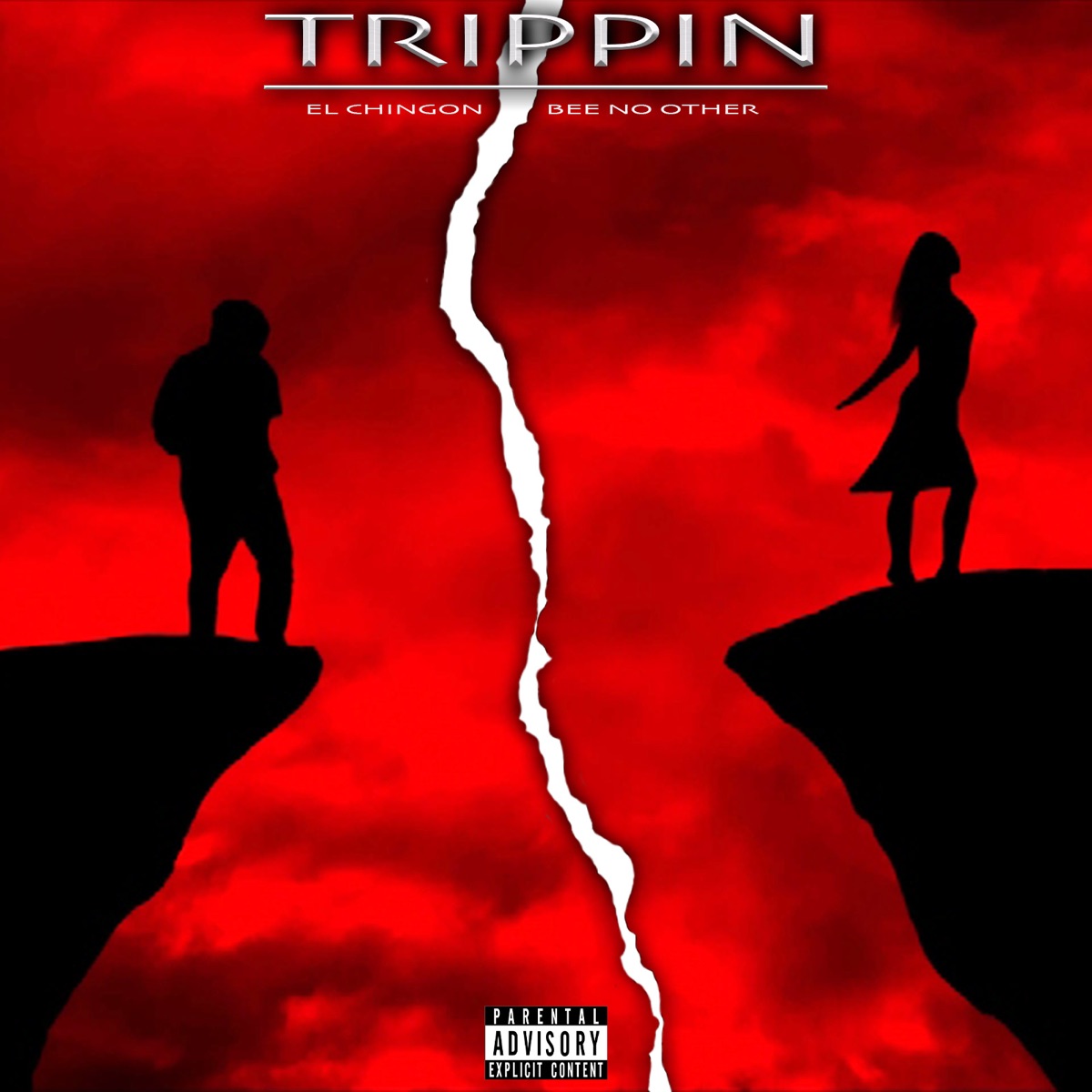 Trippin - Single (feat. Bee No Other) - Single by ELCHINGON album cover