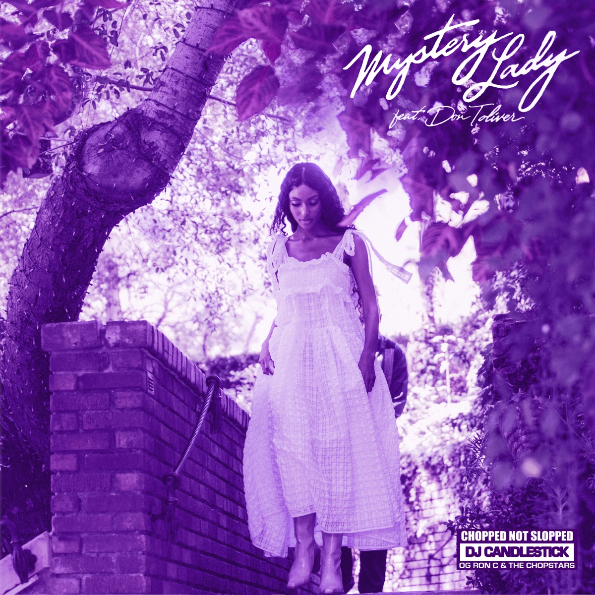 Mystery Lady (feat. Don Toliver) [ChopNotSlop Remix] - Single by Masego, DJ Candlestick & O.G. Ron C. album cover artwork