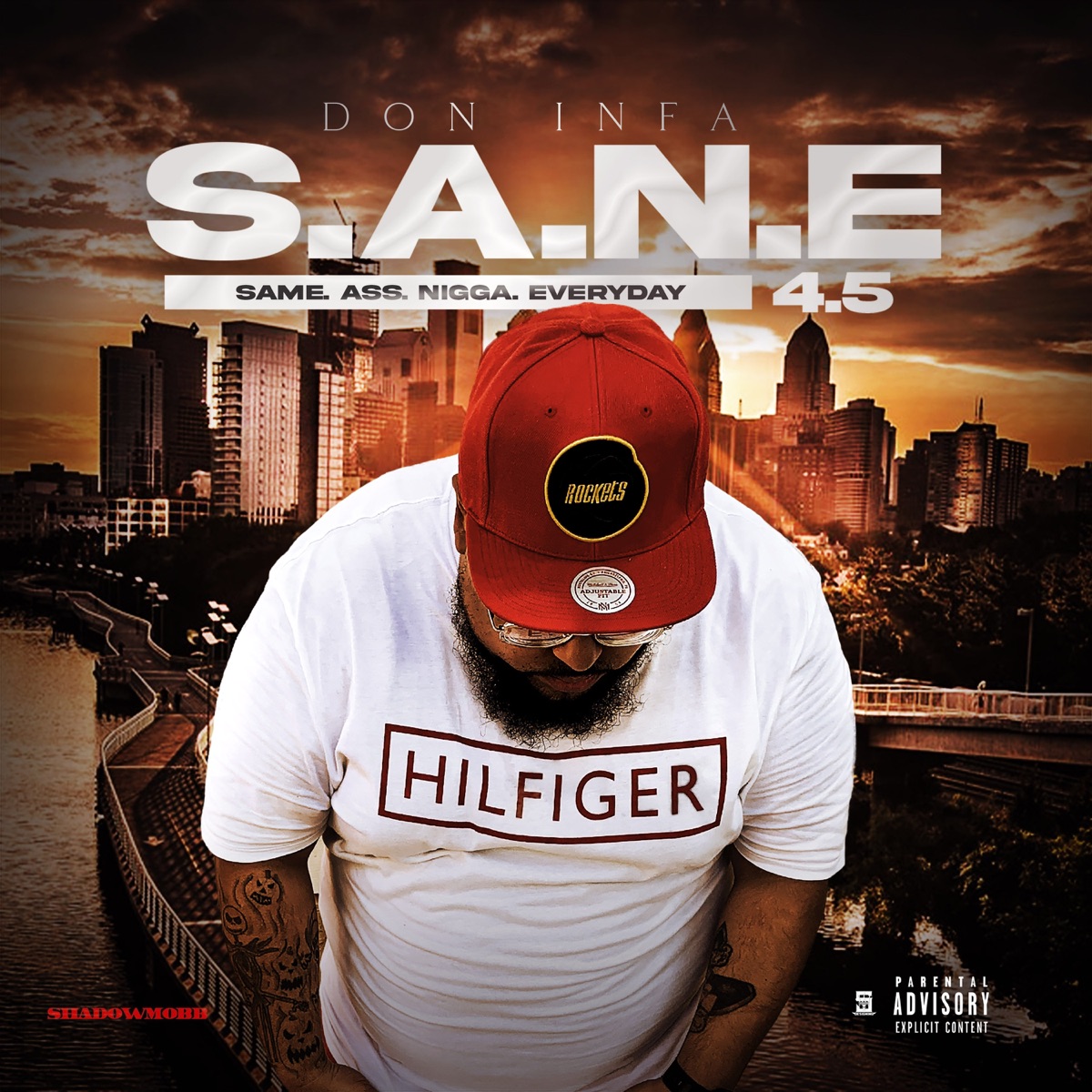 S.A.N.E 4.5 (Same Ass N***a Everyday) by Don Infa album cover