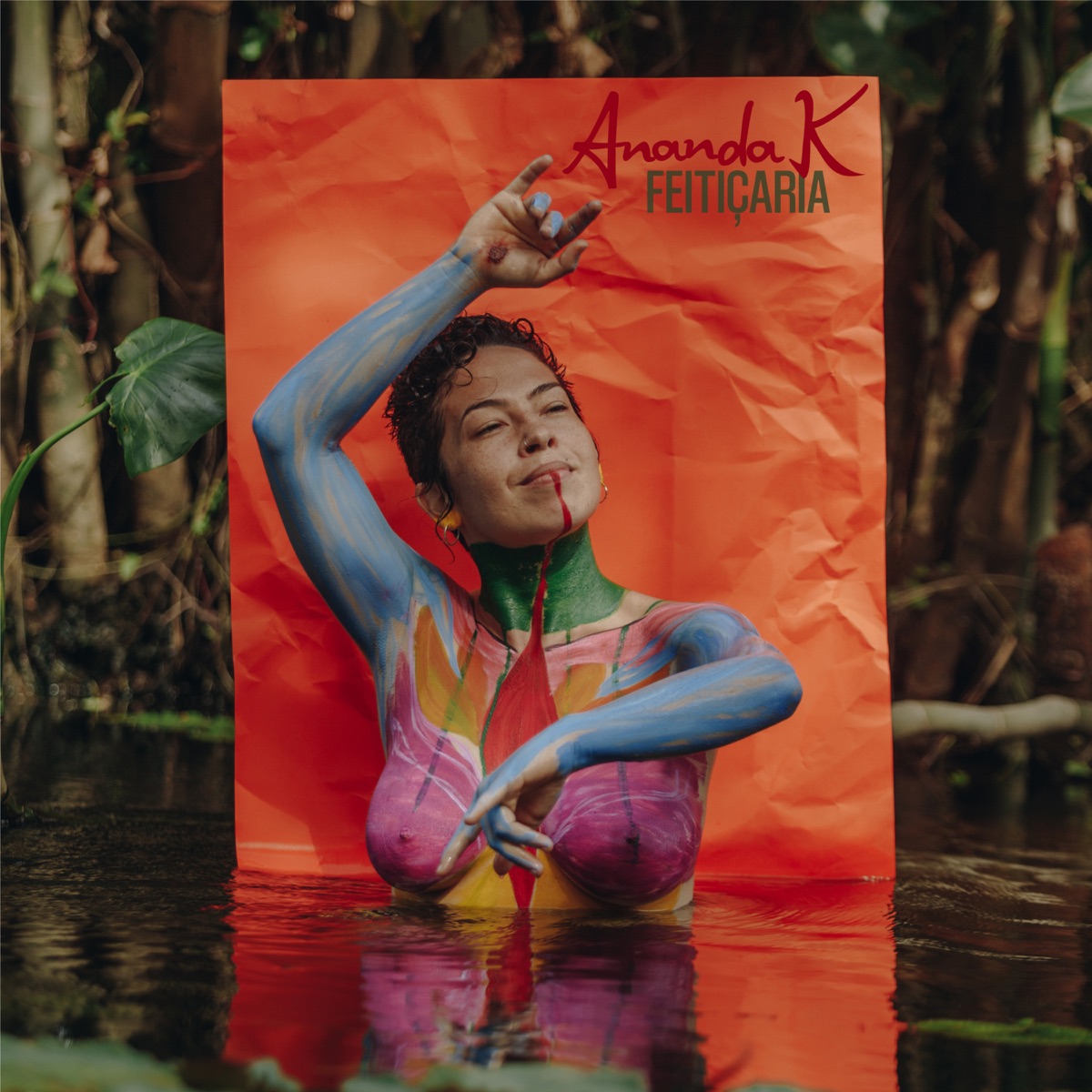 Feitiçaria by Ananda K album cover