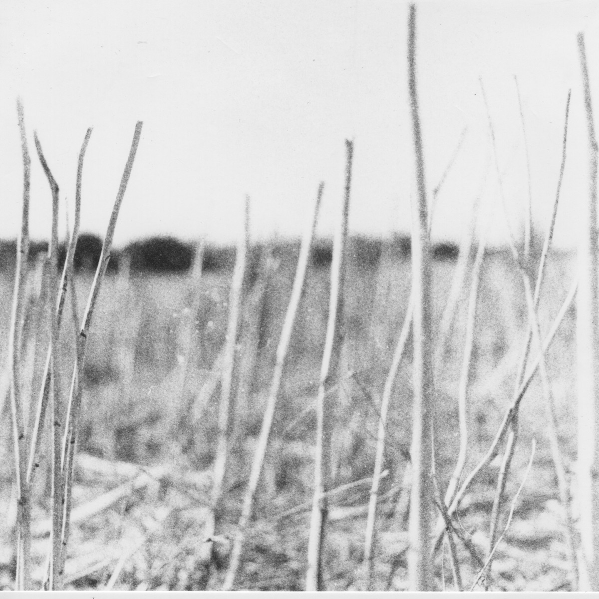 On Acid by Recondite album cover