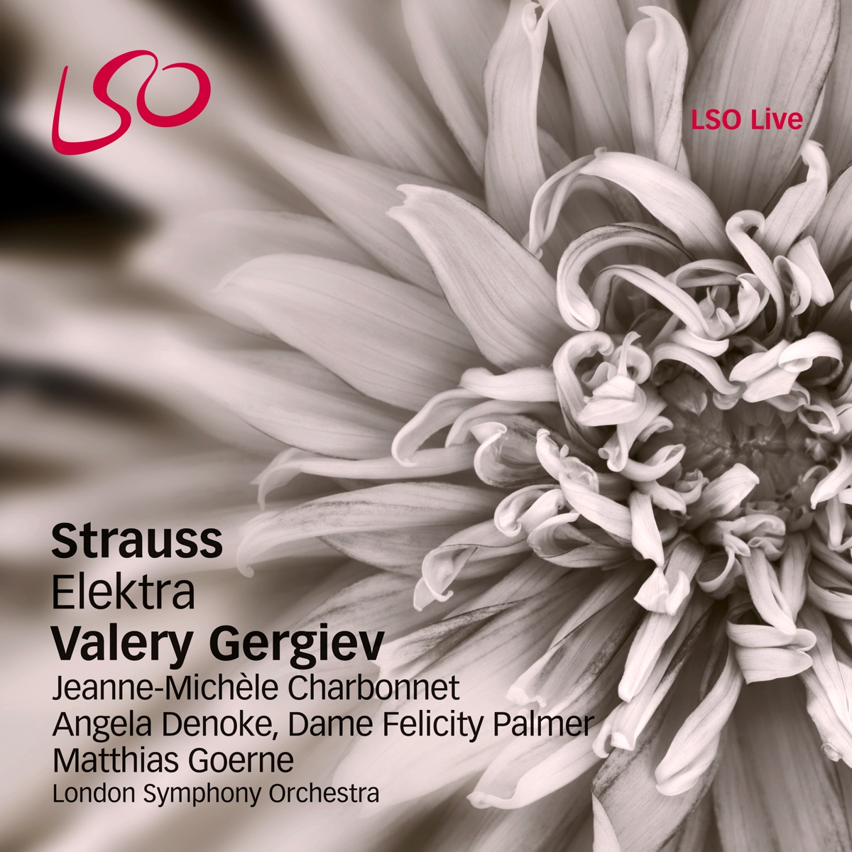 Strauss: Elektra by London Symphony Orchestra, Valery Gergiev, Angela Denoke, Matthias Goerne, Dame Felicity Palmer, Jeanne-Michele Charbonnet & Lia Shevtsova album cover