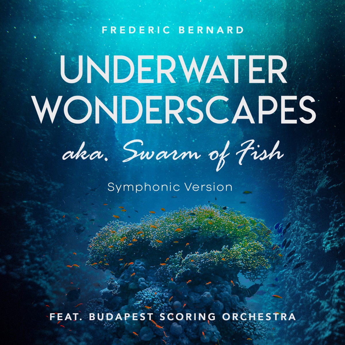 Underwater Wonderscapes Aka. Swarm of Fish (feat. Budapest Scoring Orchestra) (Symphonic Version) - Single by Frederic Bernard album cover