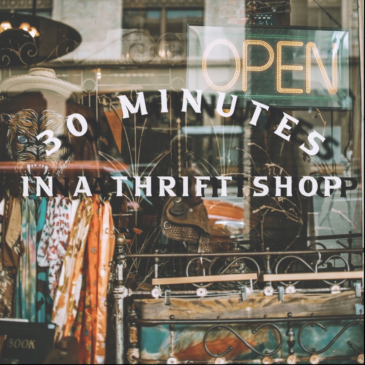 30 Minutes in a Thrift Shop - Single by Derrick Sena album cover